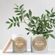 brown Kraft labels with white print on a white candle with a green plant