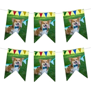 Personalised photo bunting featuring a smiling dog in front of colourful party flags, displayed outdoors.