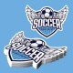 Soccer and football stickers