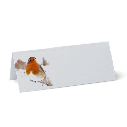 blank christmas place cards with a realistic robin in snow image