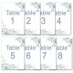 Blue Flowers Table numbers